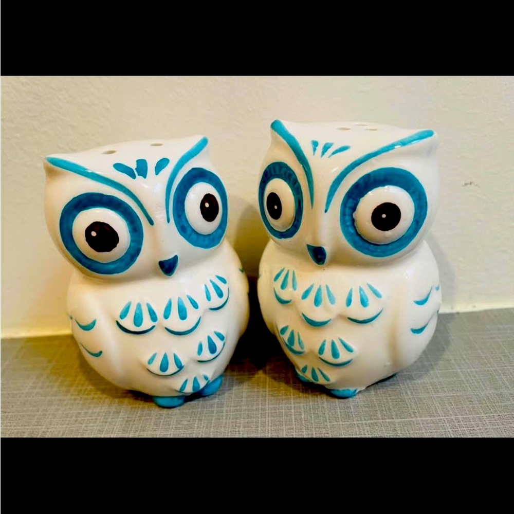 Cute 1950’s retro owl salt and pepper shakers.